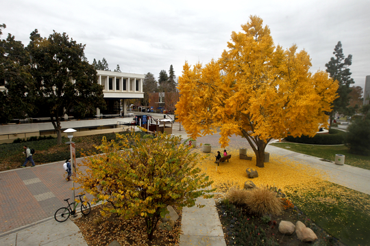 Veterans Memorial