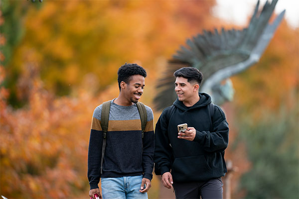 Students looking at phone together