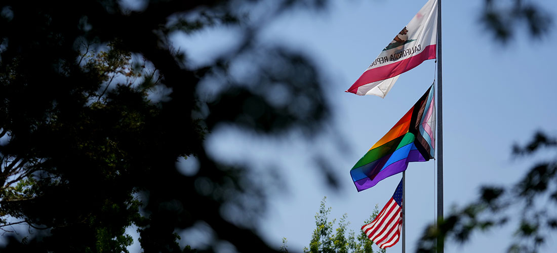 LGBTQ+ Flag