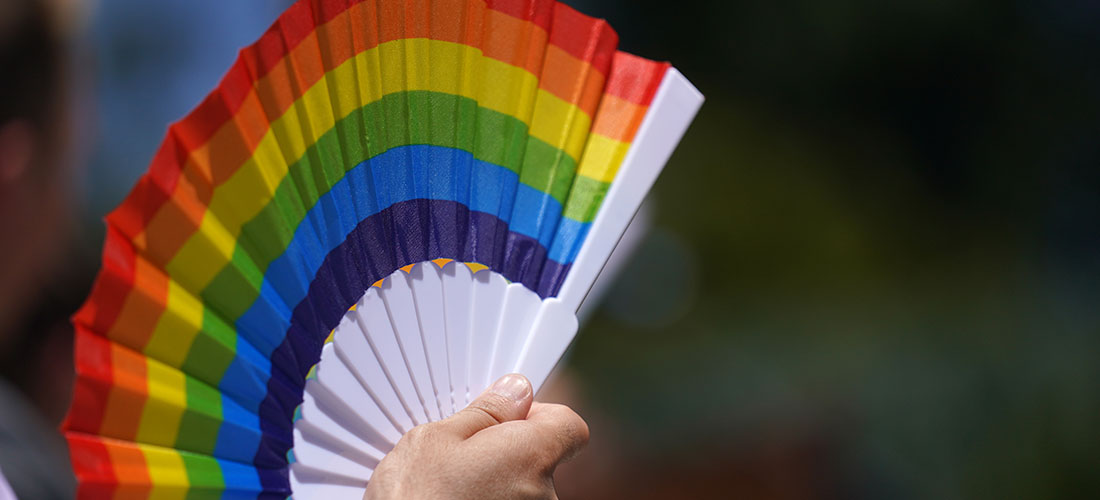 Rainbow Fan