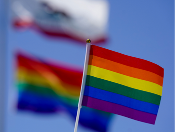 LGBTQ+ flag