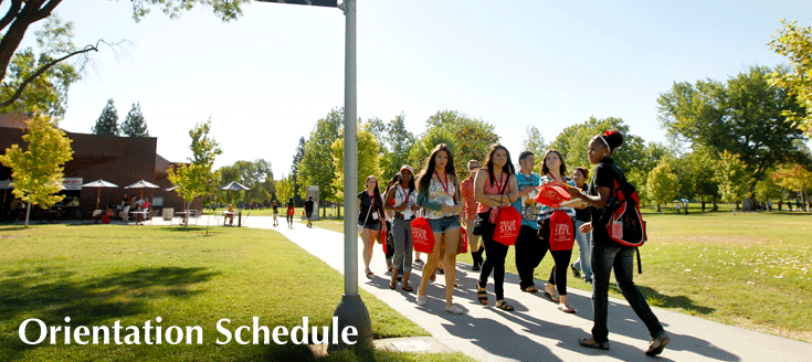 Orientation Leader leading a group