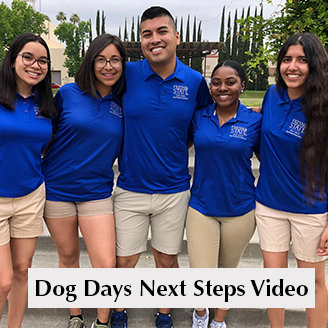 Dog Days Next Steps Video