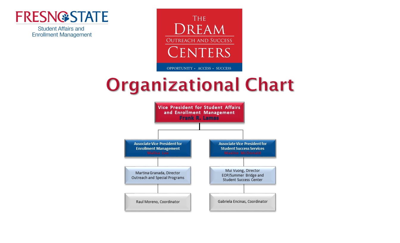 DSC org chart