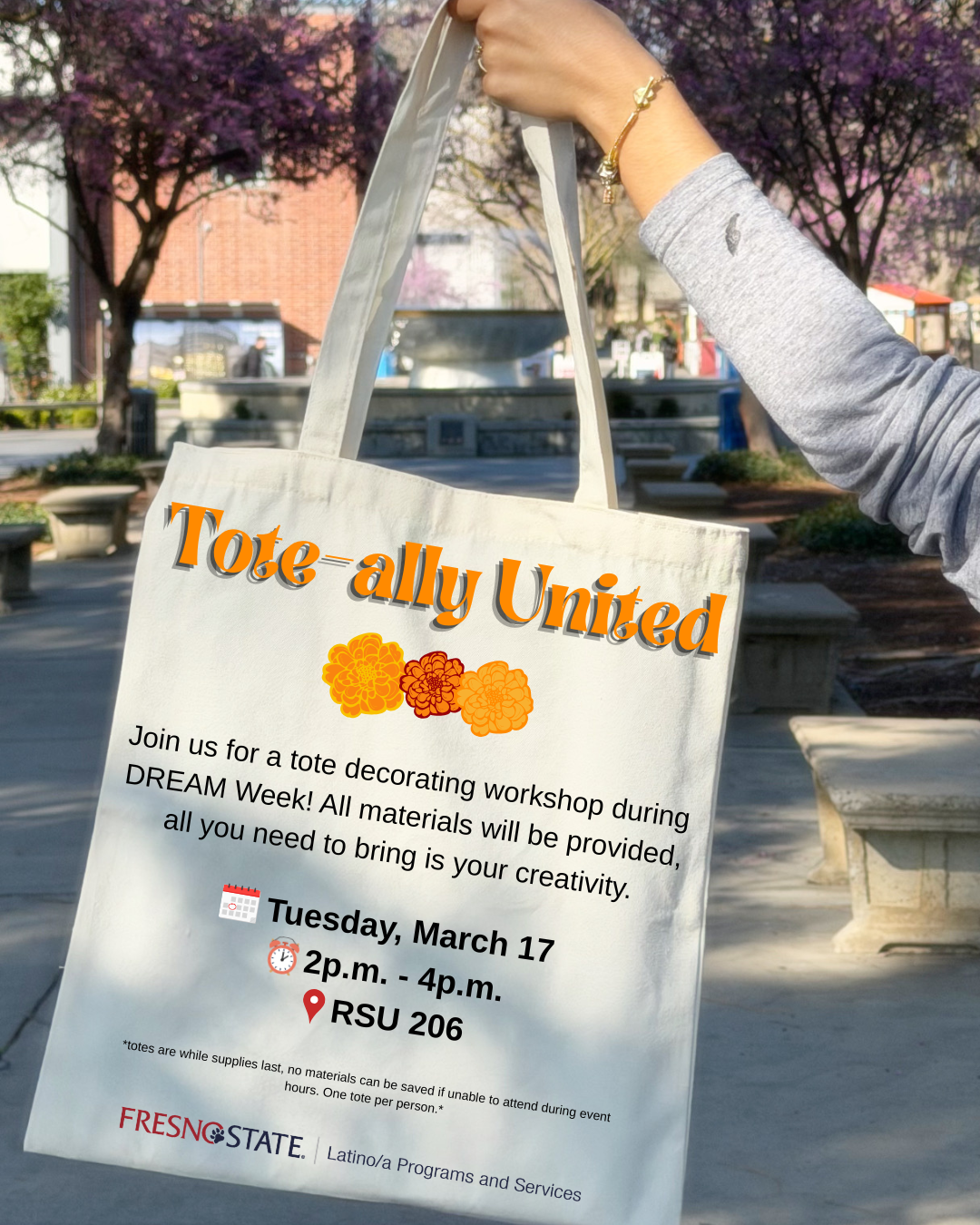 Dream Week Tote-Ally Flyer