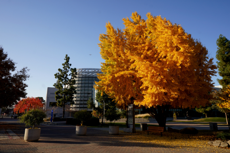 campus
