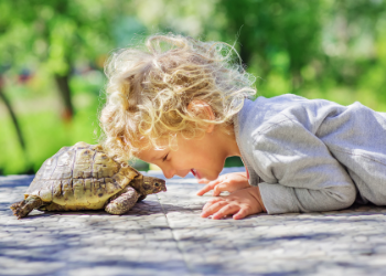 boy with turtle