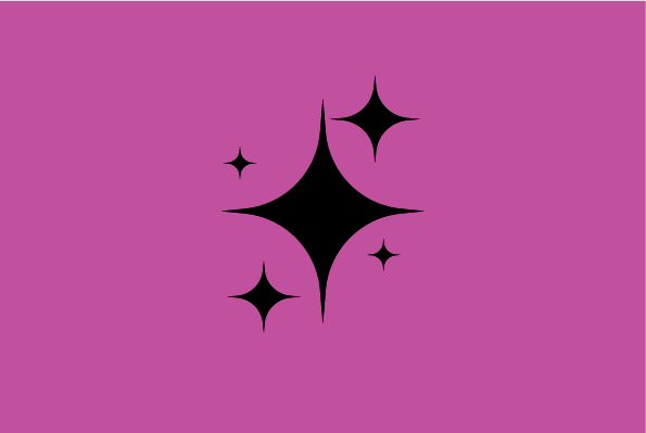icon of a sparkle and shine icon