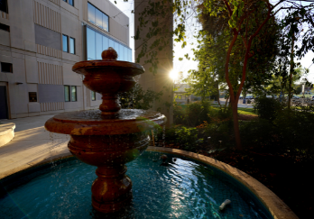 a peaceful garden with a fountain and its sunrise