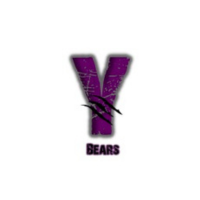 a purple y with a bear claw scratch