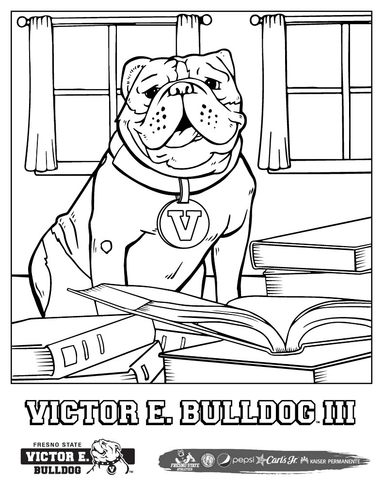 Color by numbers activity worksheet of bulldog portrait