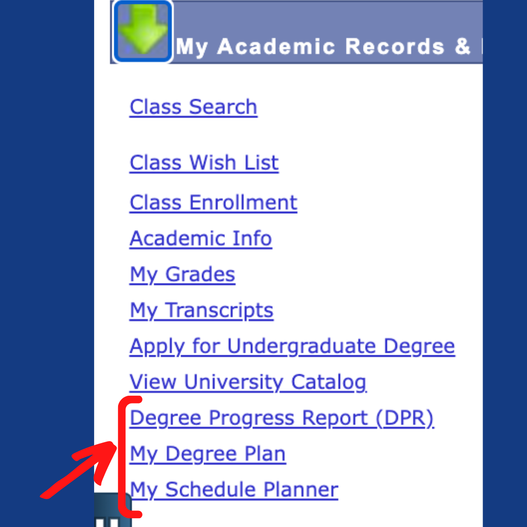 Academic Records and Registration Tab screenshot