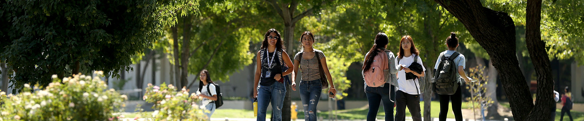 students walking on campus