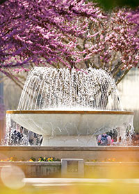 Fresno State Fountain