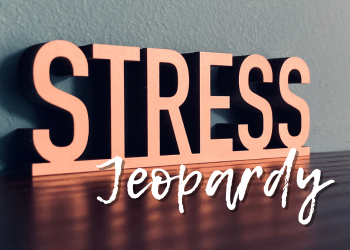 text that reads "stress jeopardy" in an assortment on typefaces.