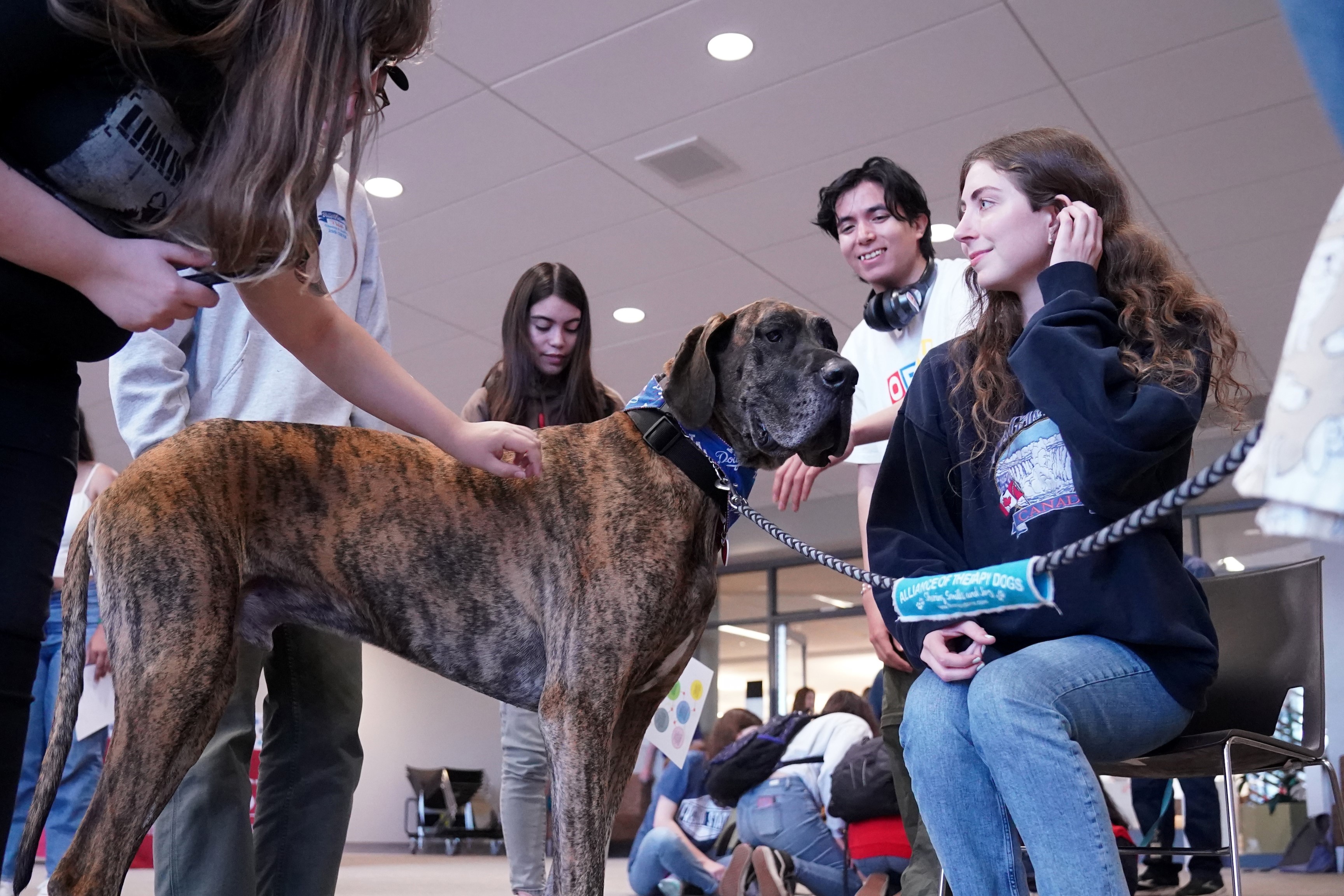 Students sit around a therapy dog at a Student Health Center counseling even